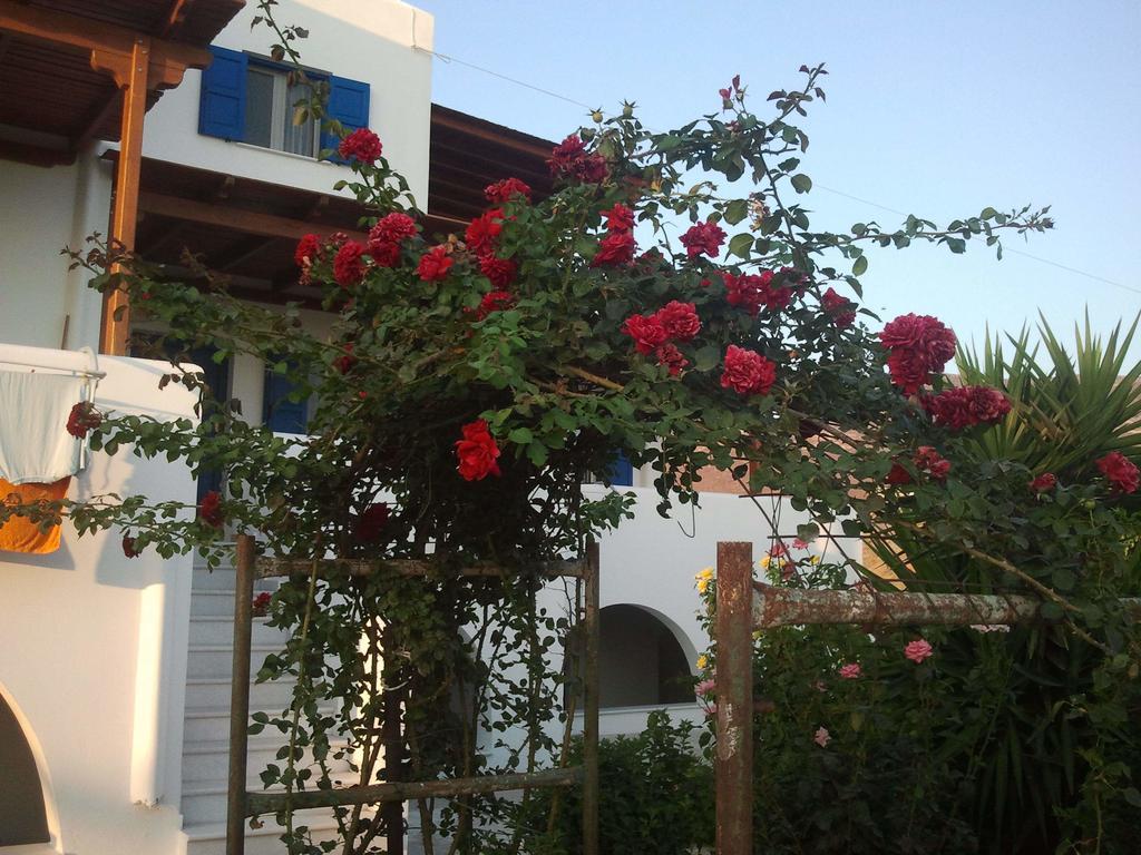 Joanna Apartments ميكري فيغلا المظهر الخارجي الصورة