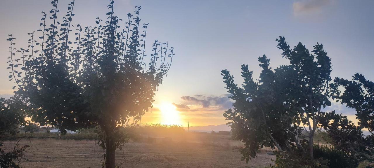 Joanna Apartments ميكري فيغلا المظهر الخارجي الصورة